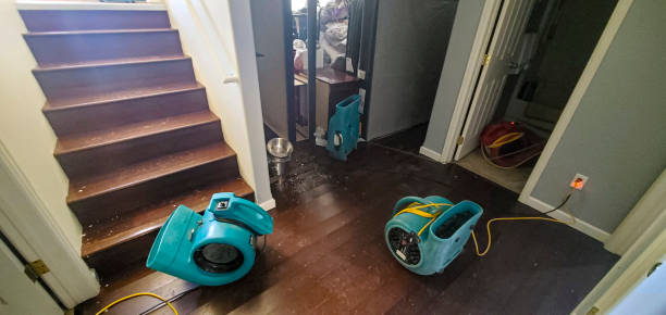 Best Carpet water damage restoration  in West Milwaukee, WI