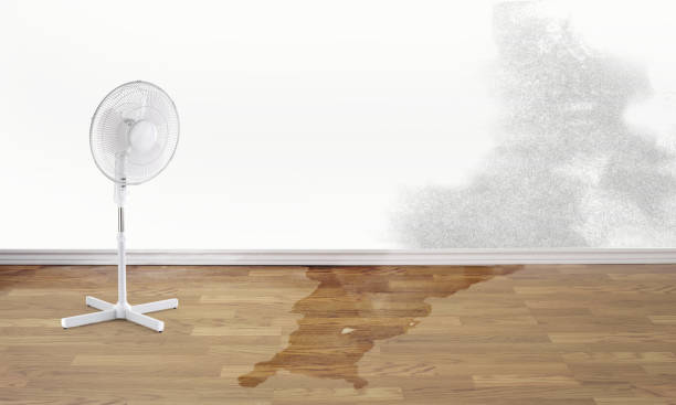Best Emergency water damage restoration  in West Milwaukee, WI