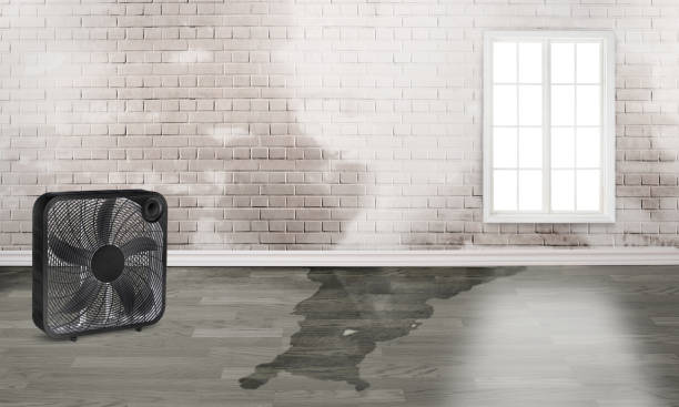Best Basement water damage restoration  in West Milwaukee, WI
