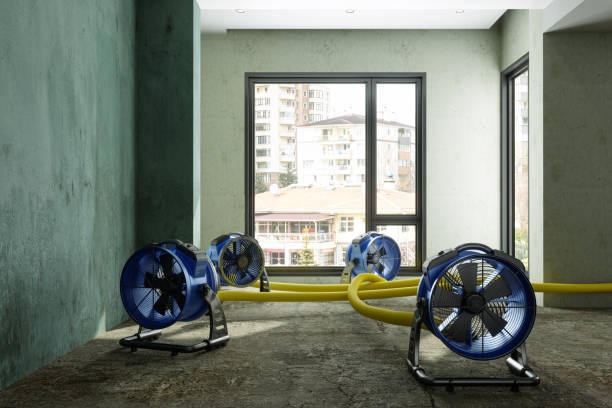 Best Carpet water damage restoration  in West Milwaukee, WI