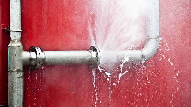 Best Flood damage cleanup  in West Milwaukee, WI